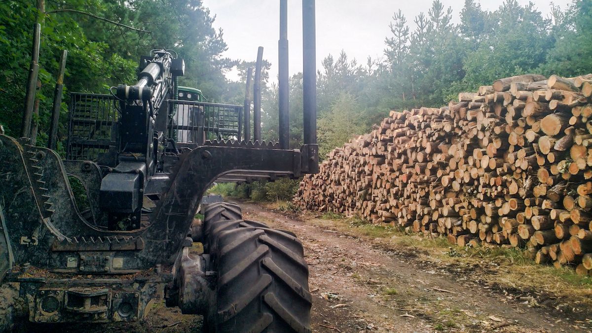 Cyklisté, kteří v lese zbili odvozce kůrovcového dřeva, zůstanou nepotrestáni